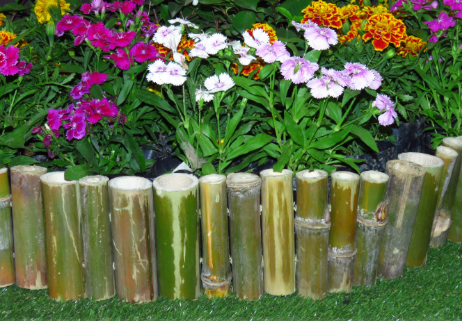 Bamboo Edging