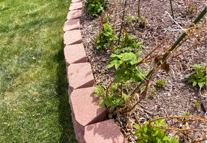 Brick-on-Edge Border