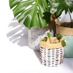 DIY-planters-feature-image