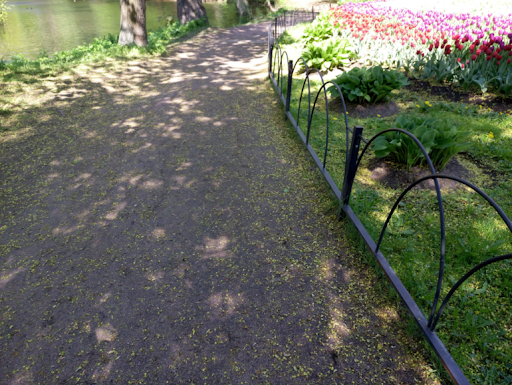 Metal Garden Borders