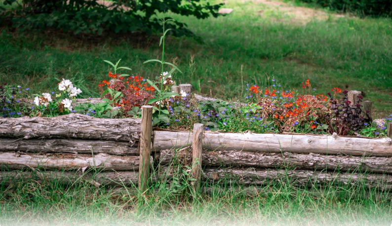 Natural Tree Branch Edging