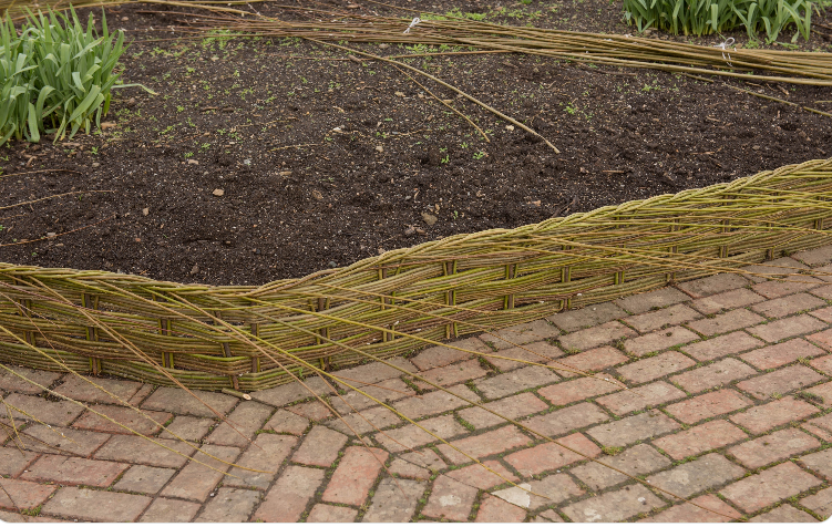 Woven Willow Edges